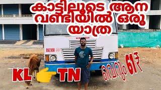 ആന വണ്ടിയിൽ കാട്ടിലൂടെ ഒരു യാത്ര| വെറും 61 ₹ രൂപക് 🤩|Mannarkkad To Annakkatty| സംഭവം കിടുക്കി🥳