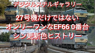 27号機だけではないオンリーワン　EF66 0番台新更新色ヒストリー