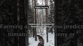 Digital Farming #ai #agriculturalsensors #digitalfarming  #agritech #farming #monitoring #sensors