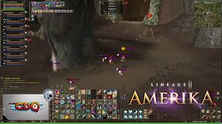 Lineage II Amerika - PvP Zone - CdQQ playing PvP on Story Mode