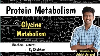 Glycine Metabolism || Protein Metabolism|| Biochemistry Lectures