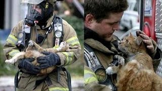20 Pictures That Will Restore Your Faith In Humanity
