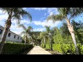 best queen palm lined driveway ever