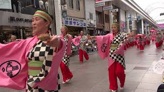 大橋通り踊り子隊  2017高知よさこい祭り本祭1日目　帯屋町筋演舞場　４K　2017 8 10