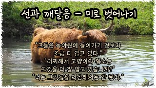 선과 깨달음 -  미로 벗어나기