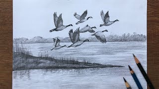 Scenery drawing with flying birds in pencil | pencil sketch | landscape drawing
