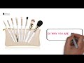 Best and affordable makeup brushes set Best Makeup Brushes Ever DUcare Professional Makeup Brush Set