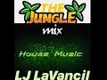 LJ LaVancil—The Jungle:House Music Mix! #TheJungle #Housemusicmix #wildvibes #djbeats