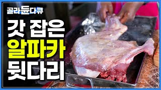 알파카 고기는 무슨 맛일까? 한 마리 통째로 잡아 푸짐하게 즐기는 안데스 밥상｜세계테마기행｜#골라듄다큐