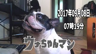 【ウナちゃんマン】　2017年09月08日07時19分