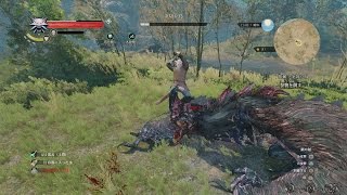 【PS4】The Witcher 3: Wild Hunt - Part 51 ・ Side Quest 依頼： 金切り鳥/Contract: Shrieker