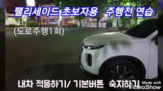 팰리세이드 초보자용 (주행전 기본버튼 설명)