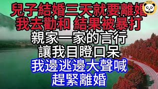 兒子結婚三天就要離婚，我去勸和，結果被暴打，親家一家的言行，讓我目瞪口呆，我邊逃邊大聲喊，趕緊離婚#深夜讀書#中老年幸福人生#美麗人生#幸福生活#幸福人生#中老年生活#為人處世#生活經驗#情