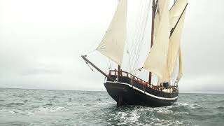 Grayhound under sail