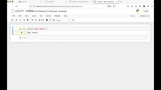 Running a Jupyter notebook and its cells