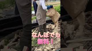 ＃shortsヌカハウス見かけたら！雑草堆肥の相棒