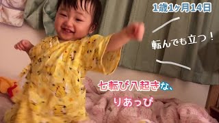 【1歳1ヶ月14日】七転び八起きな、りあっぴ【りあっぴ 成長記録】