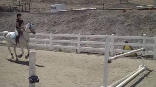 14.3hd horse jumps 3ft!