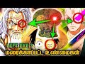 onepiece left eye theory tamil || onepiece tamil ||