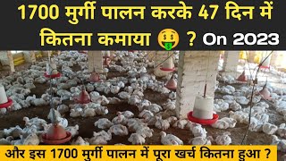 1700 Murgi Palan Karne Me Kitna Kharch Aaya ? 47 Din Me Kitna Profit/Loss ? Poultry Farming Profit ?