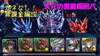 【パズドラ】　天元簡単周回！片方ガネ無し無課金編成！！