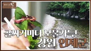 마스크 벗고 산공기 가득하게 마셔보아요~🌄 | 테마기행 길 | 전주MBC | 인제 여행 | 강원도 | 전주MBC 220617 방송