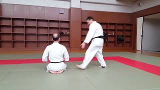 Budo training in Aikido　No 27 Hanminage半身投