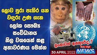 ලොව පුරා සීඝ්‍රයෙන් පැතිර යන වඳුරු උණ ගැන ලෝක සෞඛ්‍ය සංවිධානයේ අනාවරණය මෙන්න  | NAi FM NEWS