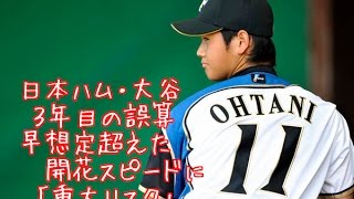 日本ハム・大谷、３年目の誤算　想定超えた開花スピードに「重大リスク」