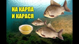 ГОРЧИЦА ДЛЯ КАРАСЯ И КАРПА! ЭТО РАБОТАЕТ НА 1000% НА РЫБАЛКЕ, ПОДВОДНАЯ СЪЕМКА, РЕАКЦИЯ РЫБЫ