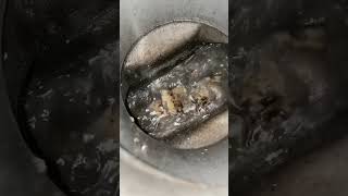 नाली की सफाई　drain cleaning