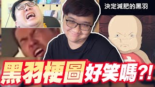 黑羽決定減肥！凌晨四點才發文說不開台？｜羽羽梗圖系列【黑羽】