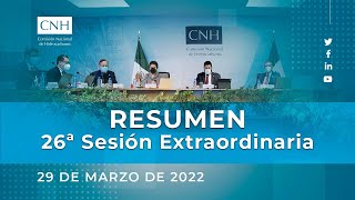 Resumen 26ª Sesión Extraordinaria del Órgano de Gobierno (29 marzo 2022)