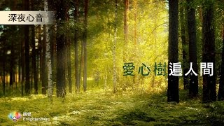 《 深夜心音 _ 愛心樹遍人間 》