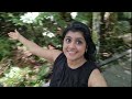 ഒരു ചെറിയ വാക് Botanical Garden Cairns Cairns tourist destination#cairns#australia #youtube#youtuber