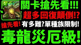 【神魔之塔】毒龍災厄級🔥『關卡搶先看！』一堆回復顛倒！？只能一個種族入場？【五封災厄污穢之災】【生死剝離 ‧ 尼德霍格】【龍類腐化龍刻胞質核】【阿紅實況】