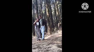 Darjeeling tour with wife #darjeeling #pineforest #vlog