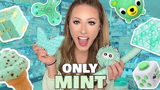 MINT GREEN ONLY FIDGET SHOPPING CHALLENGE 🧚🏼‍♂️👗🧩