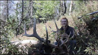 Solo Idaho Backcountry Archery Elk Hunt 2024