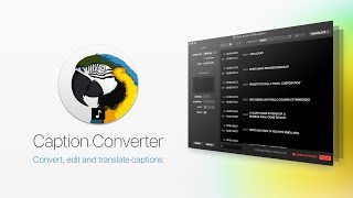 Caption Converter for SRT, iTT, VTT, SUB, Encore Text Script \u0026 Premiere Pro Markers Files