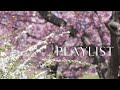 (♪ PLAYLIST ) Calm melodies of noon in spring