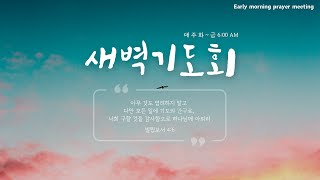 2024.11.20 새벽기도회 : 호세아 1장 1-11절