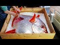 Japanese Street Food - GIANT SUNFISH Mola Mola Tokyo Japan