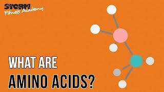 What are amino acids? | Storm Fitness Academy