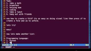 Vim Tutorial - Code Folding (Manual Method)