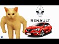 CAR NAMES AND MEMES