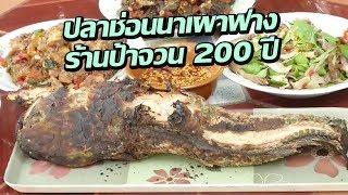 ปลาช่อนนาเผาฟาง ร้านป้าจวน 200 ปี | 20-09-60 | ตะลอนข่าวเช้านี้