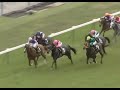 カレンチャン 2010年 葵ステークス 3歳オープン 優勝馬：ケイアイデイジー 実況：ラジオnikkei