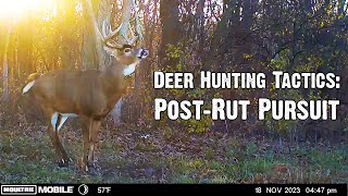 Deer Tactics: Post-Rut Pursuit