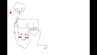 Power Plant Basics: Steam generator